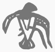 tbirdna1.jpg