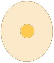 egg3.jpg