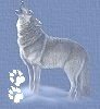 wolf.jpg